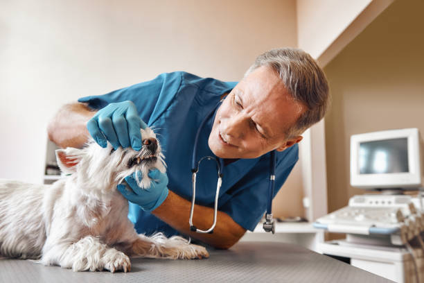 Best Walk-In Emergency Dental Services in Lockland, OH